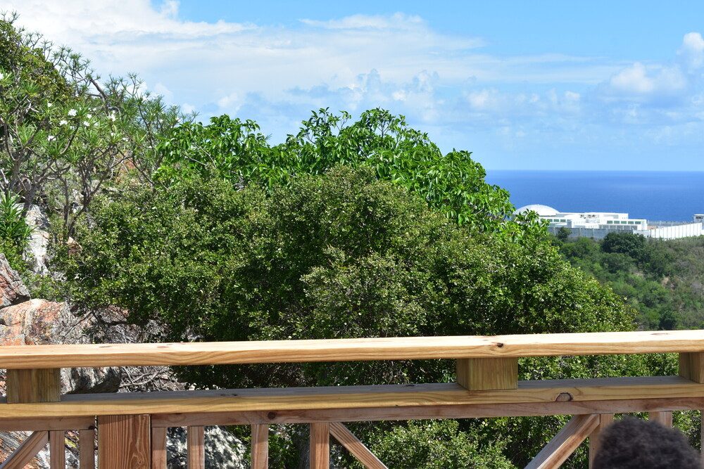 Railing with an ocean view